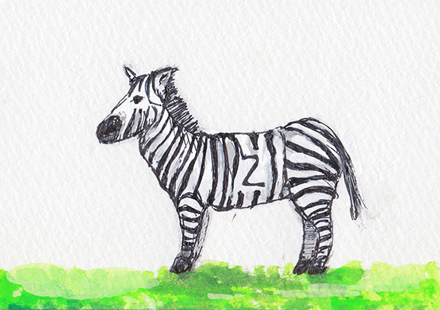 zebra
